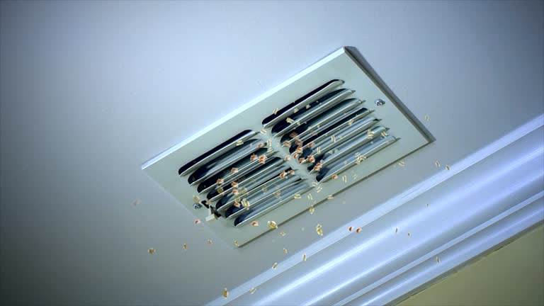Best HVAC Duct Inspection Services  in Gold Hill, OR