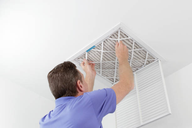 Best Air Duct Mold Removal  in Gold Hill, OR